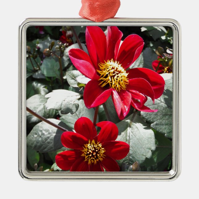 red hot pink daisy / daisies flowers metal ornament (Front)