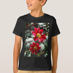 red hot pink daisy / daisies flowers T-Shirt