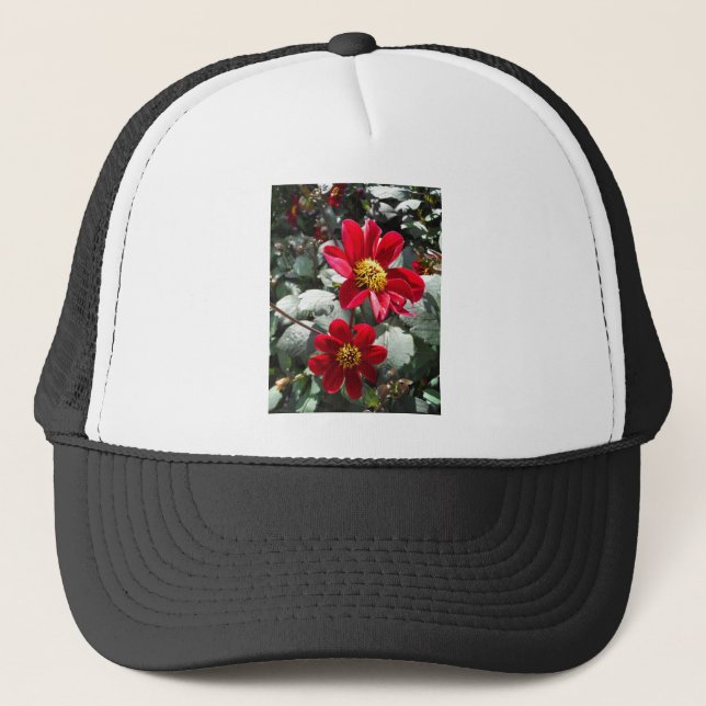 red hot pink daisy / daisies flowers trucker hat (Front)