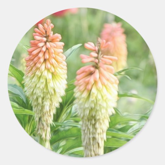 Red Hot Poker Plant Classic Round Sticker