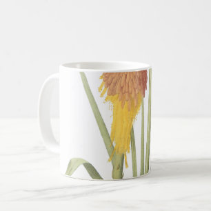 red hot poker(Tritoma uvaria) by Redouté Coffee Mug