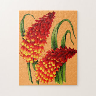 red hot pokers jigsaw puzzle