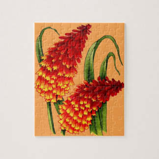 red hot pokers jigsaw puzzle