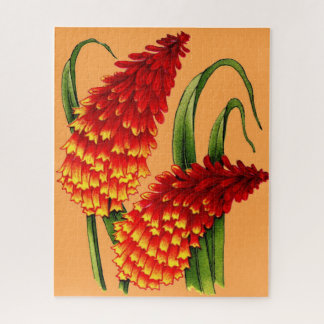 red hot pokers jigsaw puzzle