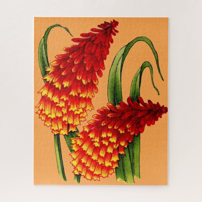 red hot pokers jigsaw puzzle (Vertical)
