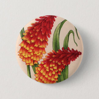 red-hot pokers kniphofia flowers button