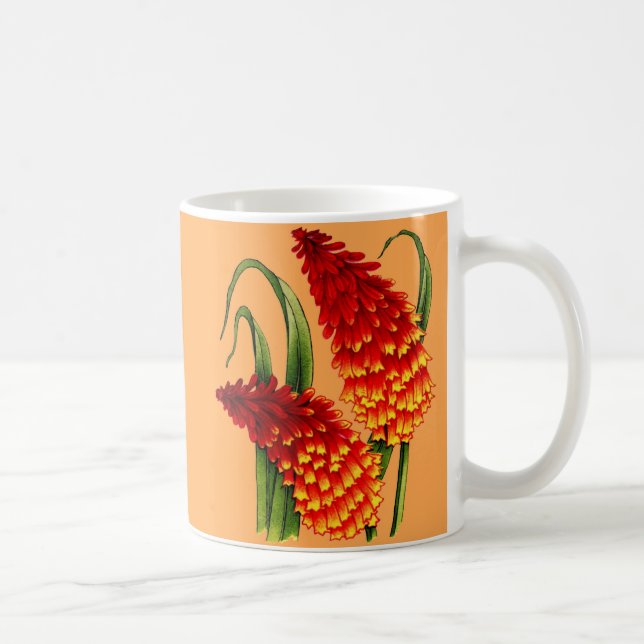 red-hot pokers kniphofia flowers coffee mug (Right)