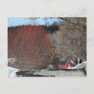Red House On the Lane Postcard