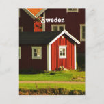 Red Houses in Sweden Postcard