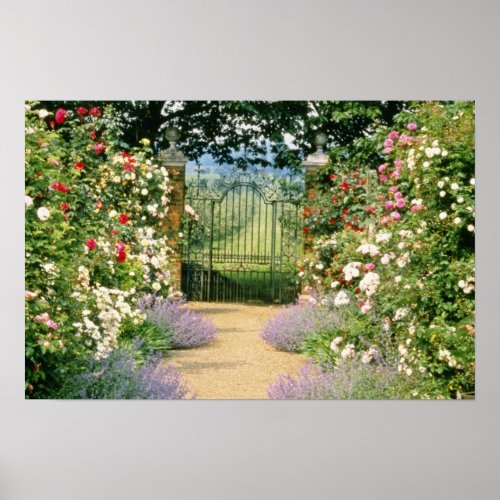 Red Hybrid Rose_Lined Path To Gate Underplanted W Poster