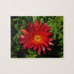 Red Ice Flower Colorful Carpet Plant Jigsaw Puzzle