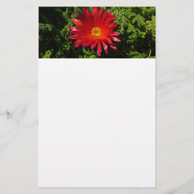 Red Ice Flower Colorful Carpet Plant Stationery (Front)
