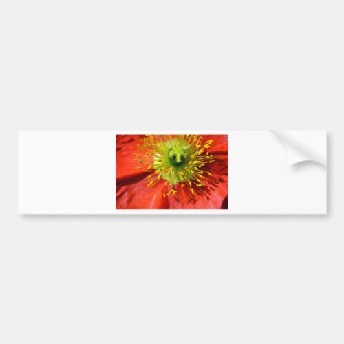 Red Icelandic Poppy Bumper Sticker