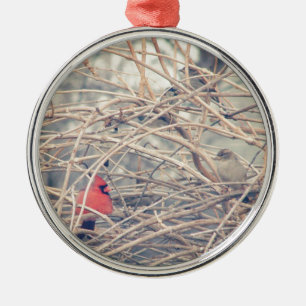 Red in a dreary winter by angelandspot. metal ornament