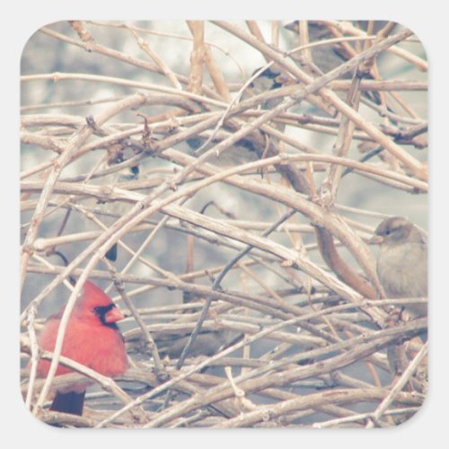 Red in a dreary winter by angelandspot square sticker