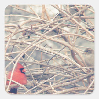 Red in a dreary winter by angelandspot. square sticker