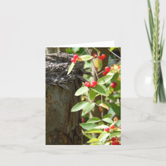 Red in the Wood Card