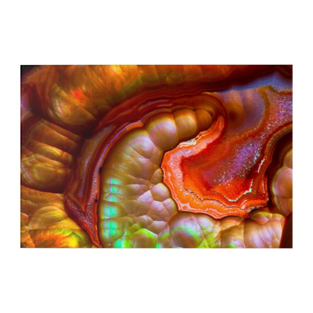 Red iridescent Fire Opal Acrylic Print (Front)
