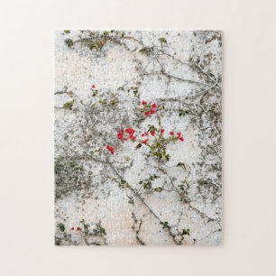 Red Ivy on White Wall Jigsaw Puzzle