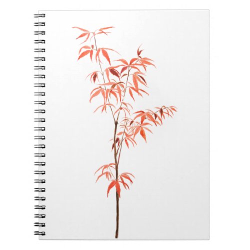 red Japanese dwarf maple tree watercolor Notebook