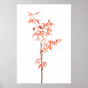 red Japanese dwarf maple tree watercolor Poster