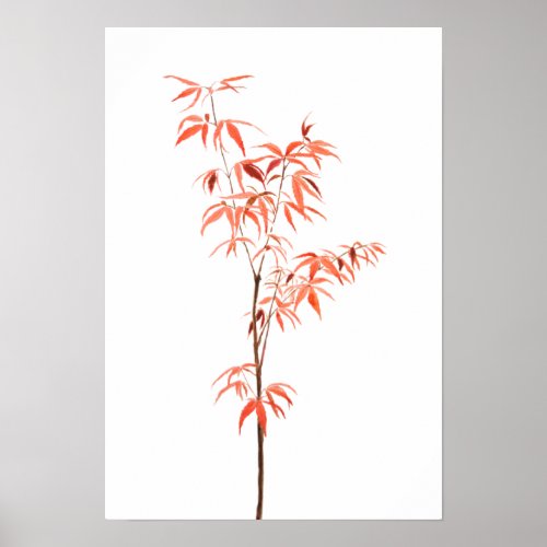 red Japanese dwarf maple tree watercolor  Poster