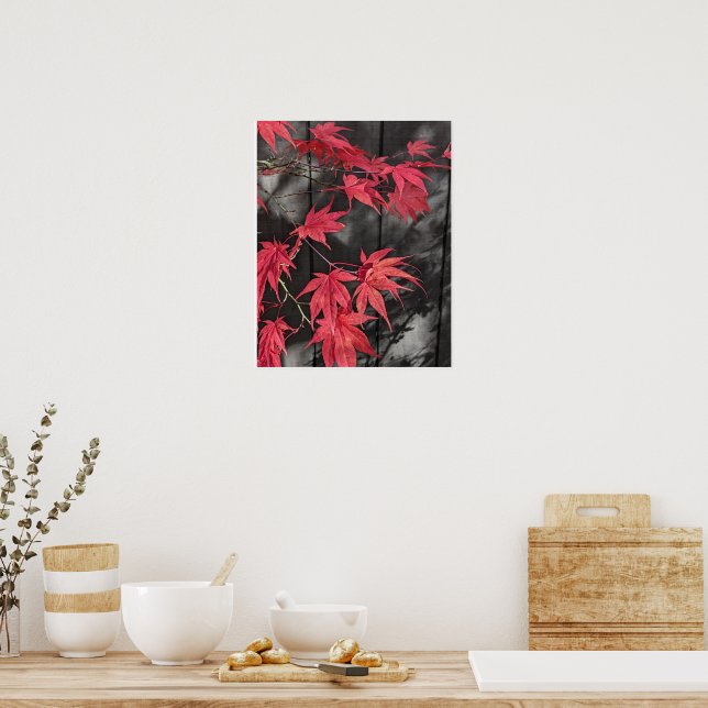 Red Japanese Maple Leaf Shadows Poster (Kitchen)