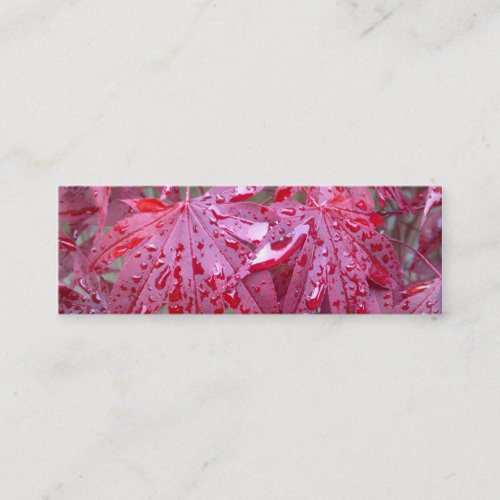 Red Japanese Maple Leaves Bookmark Business Card