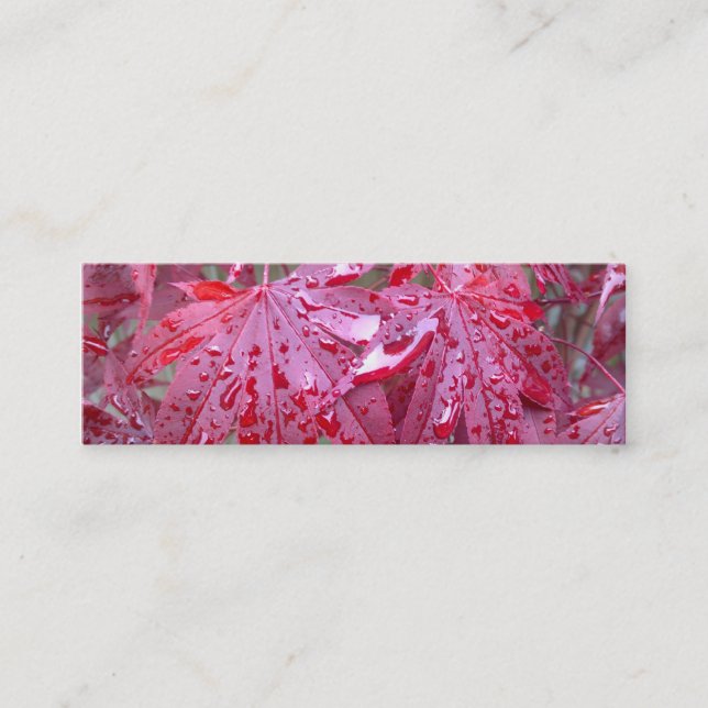 Red Japanese Maple Leaves Bookmark Business Card (Front)