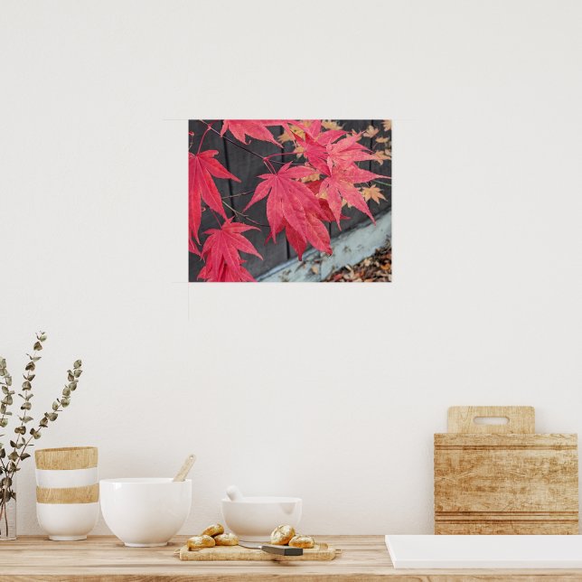 Red Japanese Maple Leaves Botancial Poster (Kitchen)