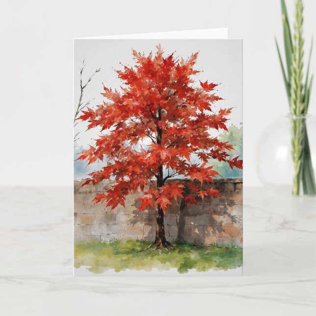 Red Japanese Maple Study A Card (Front)