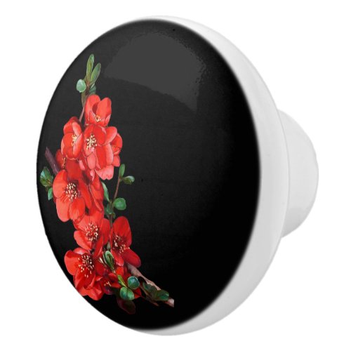 Red Japanese Quince Blossom black Ceramic Knob
