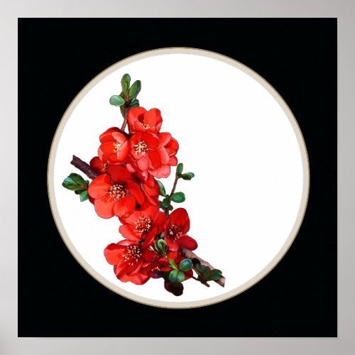 Red Japanese Quince Blossom circle black Poster