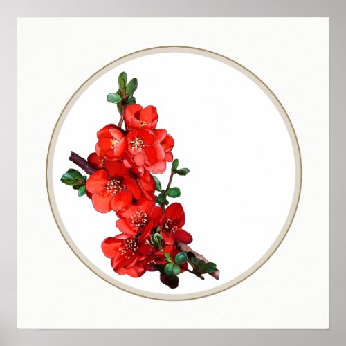 Red Japanese Quince Blossom circle white Poster