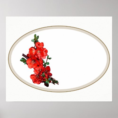 Red Japanese Quince Blossom oval white Poster