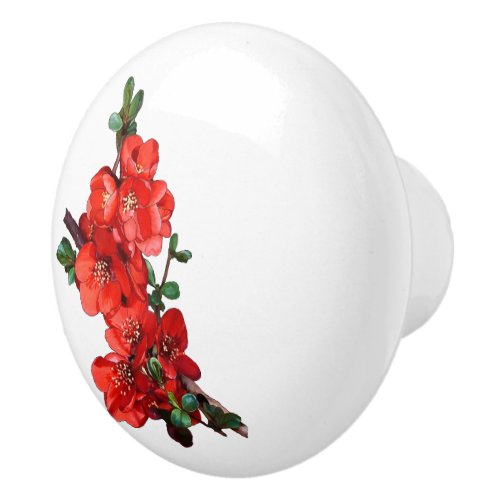 Red Japanese Quince Blossom white Ceramic Knob