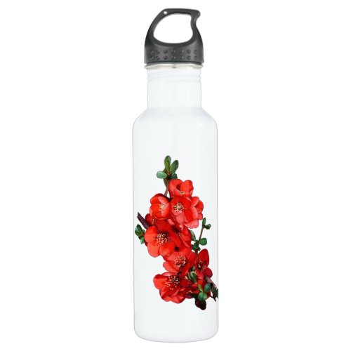 Red Japanese Quince Blossom white Stainless Steel Water Bottle