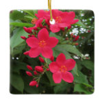 Red Jatropha Flowers Ceramic Ornament