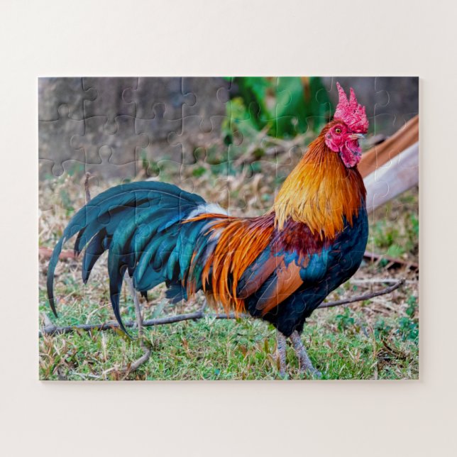 Red junglefowl jigsaw puzzle (Horizontal)