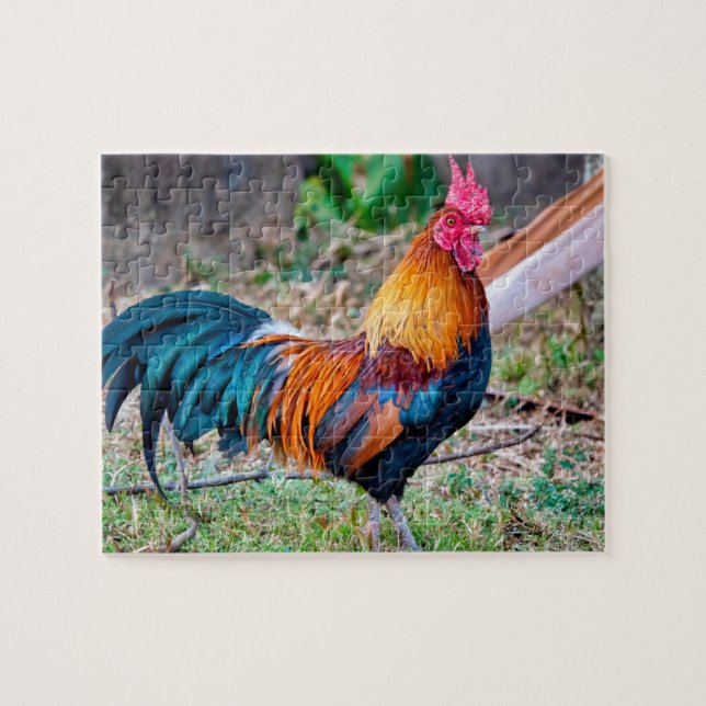 Red junglefowl jigsaw puzzle (Horizontal)