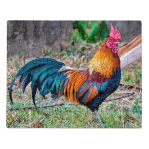 Red junglefowl jigsaw puzzle