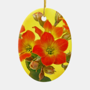 Red Kalanchoe - Succulent Sunshine Ceramic Ornament