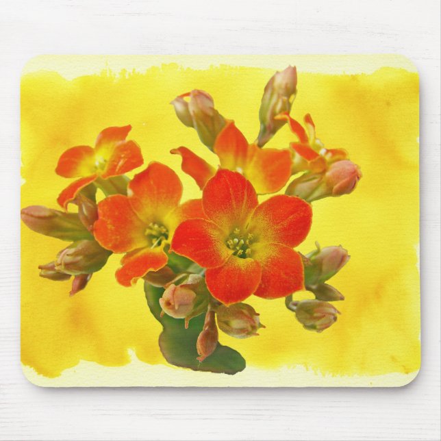 Red Kalanchoe - Succulent Sunshine Mouse Pad (Front)