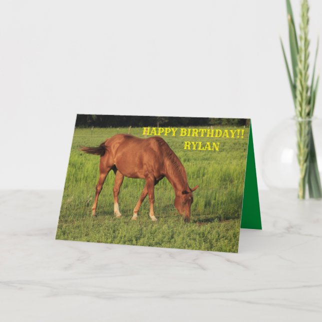 Red Kansas Country Horse Birthday Greeting Card (Front)