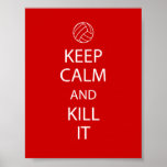 Red Keep Calm Volleyball Poster at Zazzle