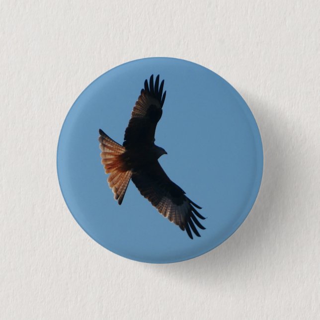 Red Kite Badge Button (Front)