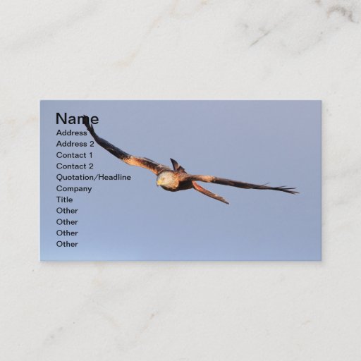 Customizable Red Kite Business Card