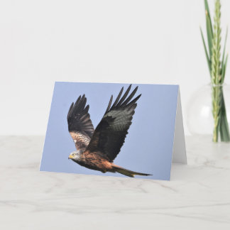 Red Kite Card