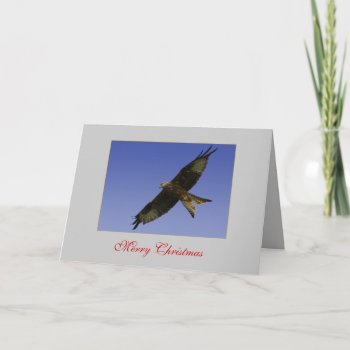 Red Kite Card by Welshpixels at Zazzle