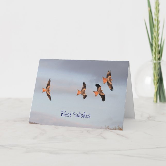 Red Kite Card (Front)